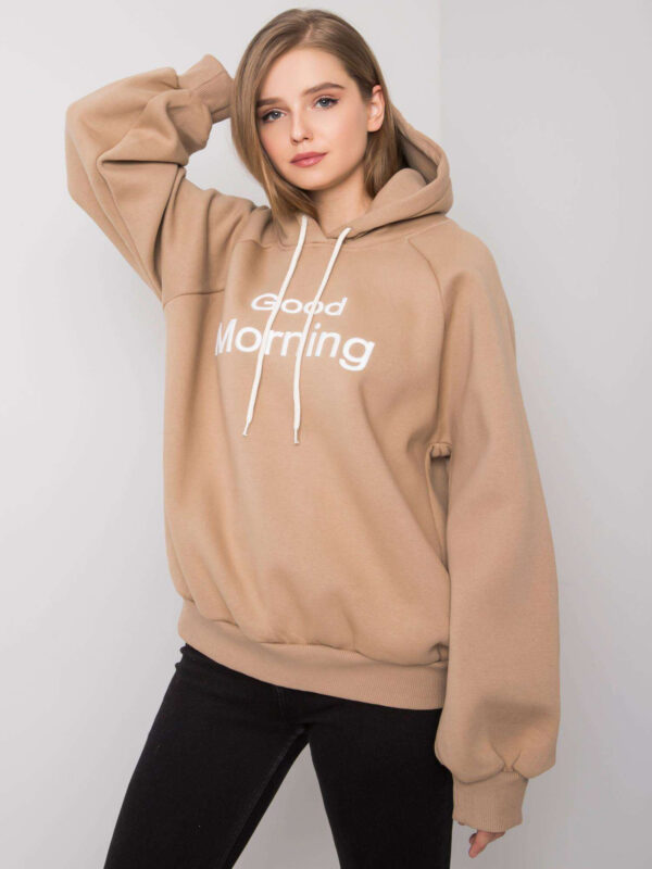 pol_pl_Ciemnobezowa-ocieplana-bluza-oversize-z-kapturem-Alice-378099_1