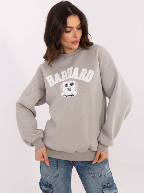 Bluza ciemny szary EM-BL-617-16.01X